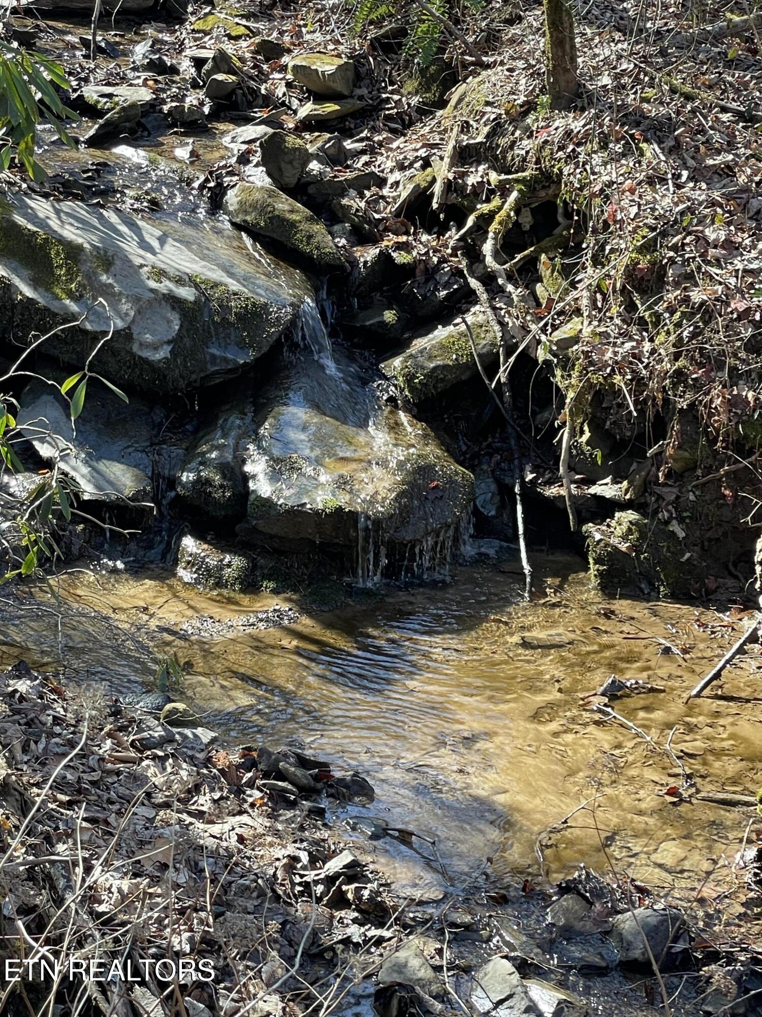 1032 Deep Hollow Road Gatlinburg, TN 37738 - Photo 4 of 11 IMG_8980