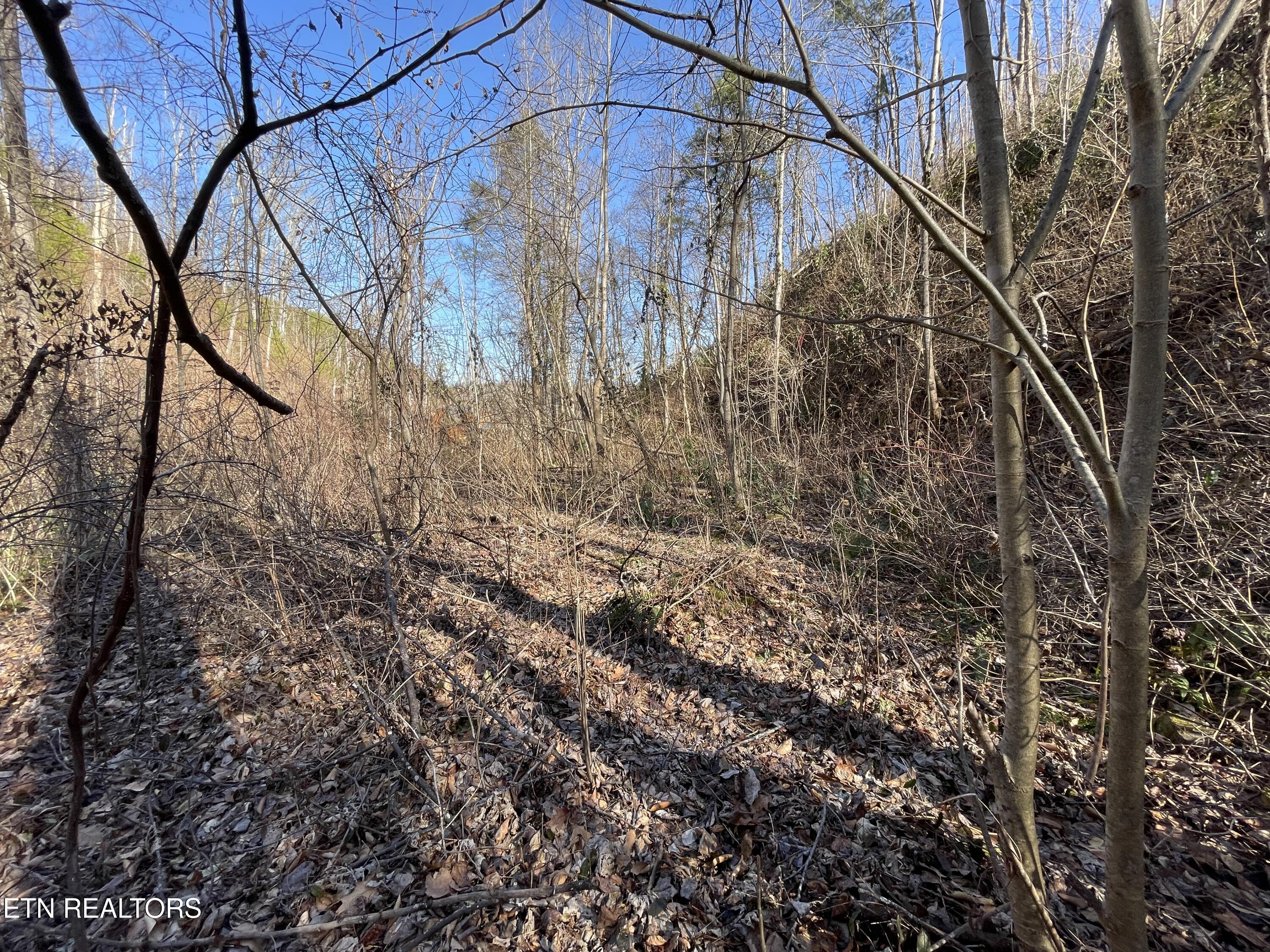 1032 Deep Hollow Road Gatlinburg, TN 37738 - Photo 5 of 11 IMG_8981