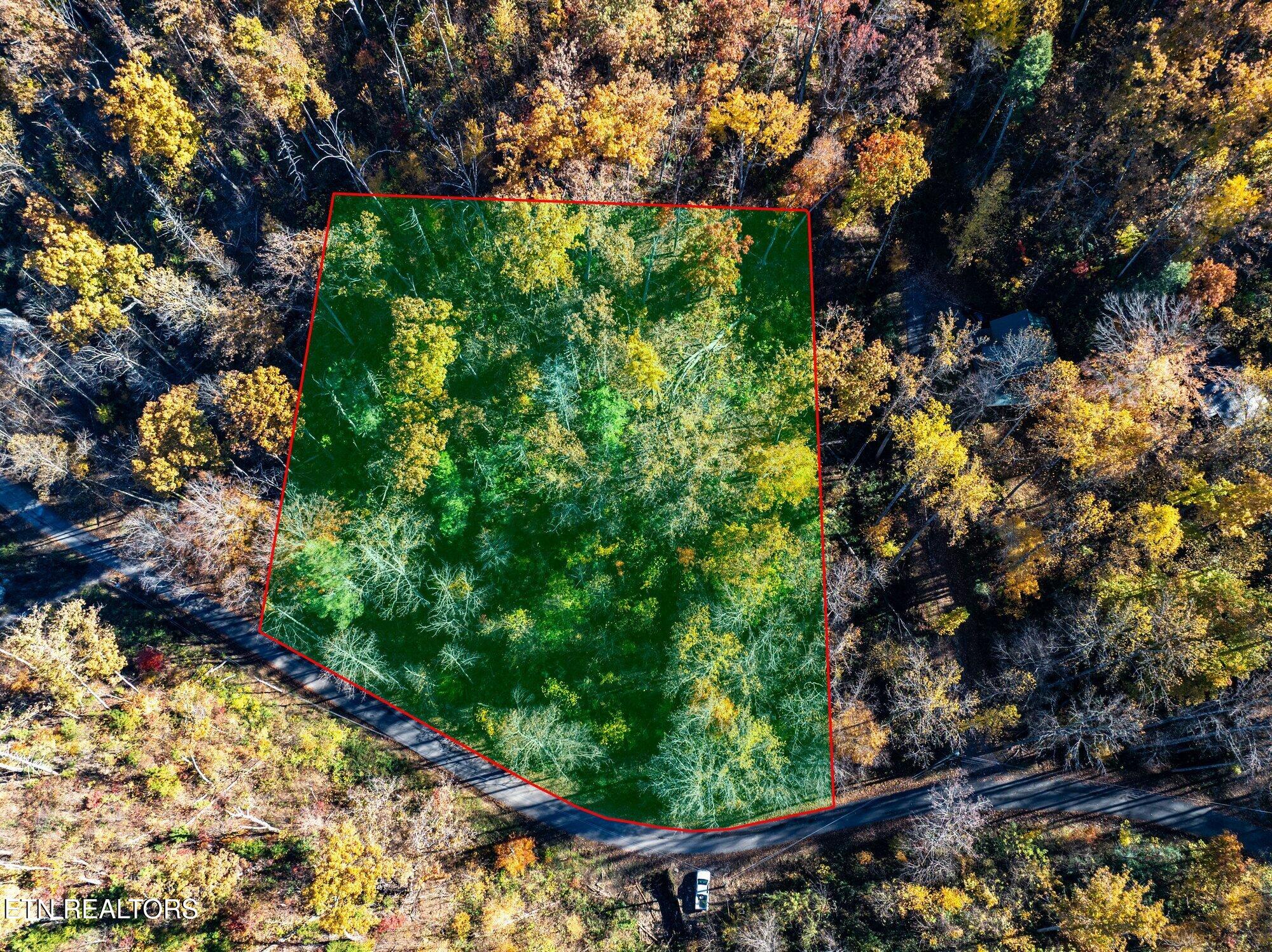 1032 Deep Hollow Road Gatlinburg, TN 37738 - Photo 6 of 11 Deep-Hollow-Rd-Gatlinburg-TN-1