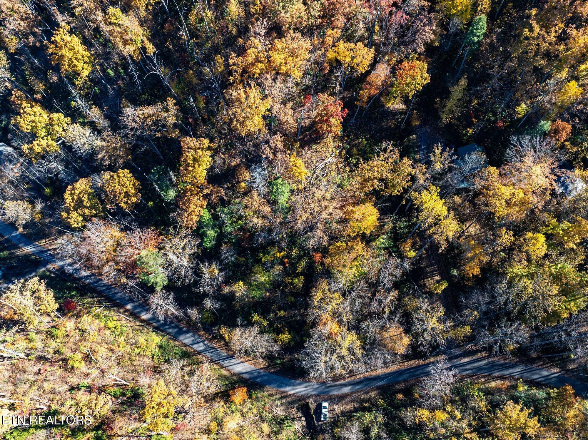 1032 Deep Hollow Road Gatlinburg, TN 37738 - Photo 8 of 11 Deep-Hollow-Rd-Gatlinburg-TN-2