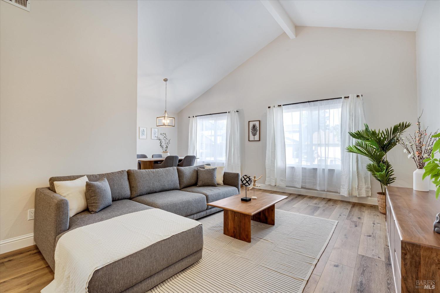 a living room with furniture and a potted plant