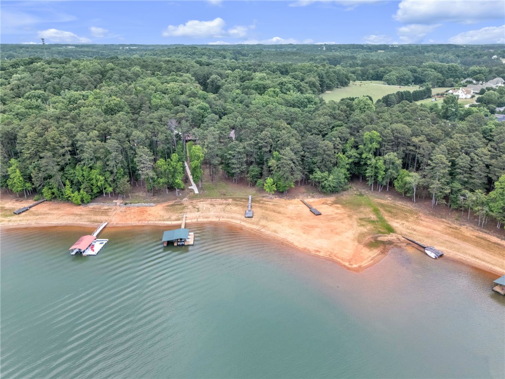 4416 Denver Cove Road Anderson, SC 29625 - Photo 28 of 31 A tranquil lakefront escape, offering private docks and verdant surroundings.