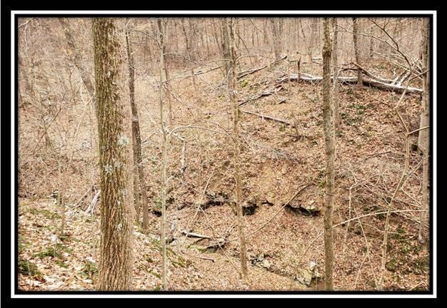 0 Pam Road New Matamoras, OH 45767 - Photo 15 of 34 Gallery Image 15