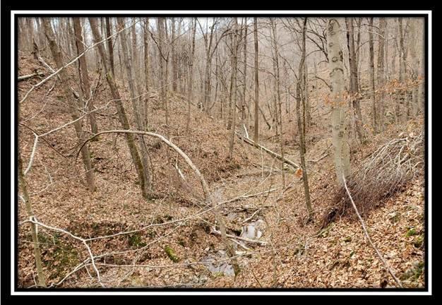 0 Pam Road New Matamoras, OH 45767 - Photo 17 of 34 Gallery Image 17