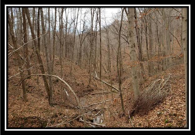 0 Pam Road New Matamoras, OH 45767 - Photo 21 of 34 Gallery Image 21