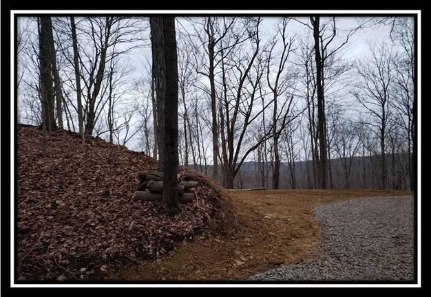 0 Pam Road New Matamoras, OH 45767 - Photo 23 of 34 Gallery Image 23
