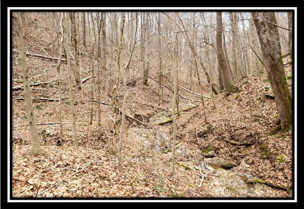 0 Pam Road New Matamoras, OH 45767 - Photo 24 of 34 Gallery Image 24