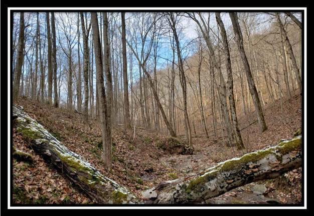 0 Pam Road New Matamoras, OH 45767 - Photo 27 of 34 Gallery Image 27