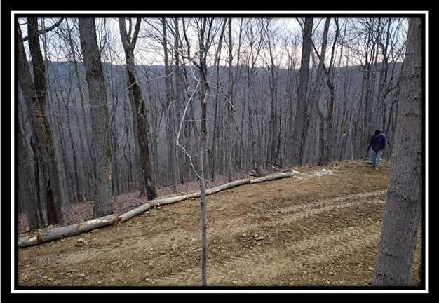 0 Pam Road New Matamoras, OH 45767 - Photo 30 of 34 Gallery Image 30