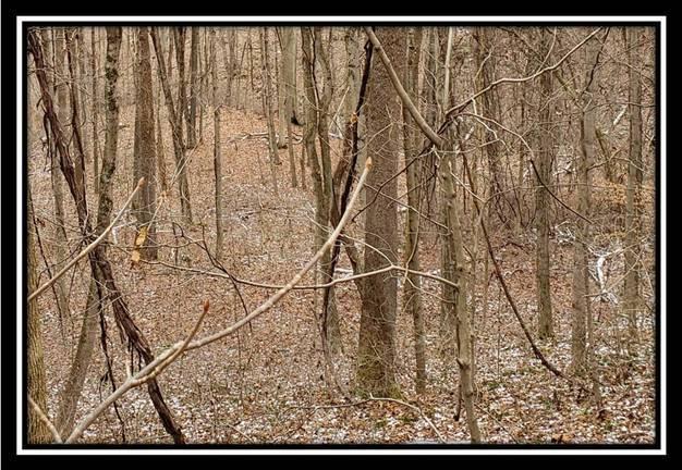 0 Pam Road New Matamoras, OH 45767 - Photo 6 of 34 Gallery Image 6