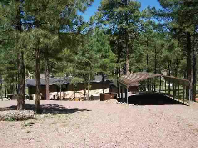 13 N2148 Alpine, AZ 85920 - Photo 1 of 5