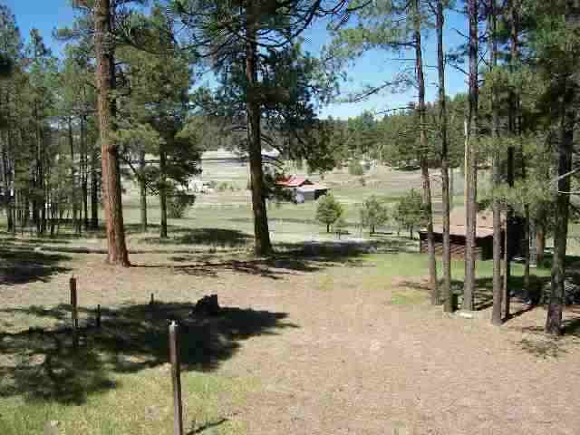 13 N2148 Alpine, AZ 85920 - Photo 2 of 5
