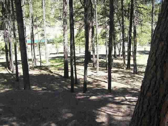 13 N2148 Alpine, AZ 85920 - Photo 3 of 5