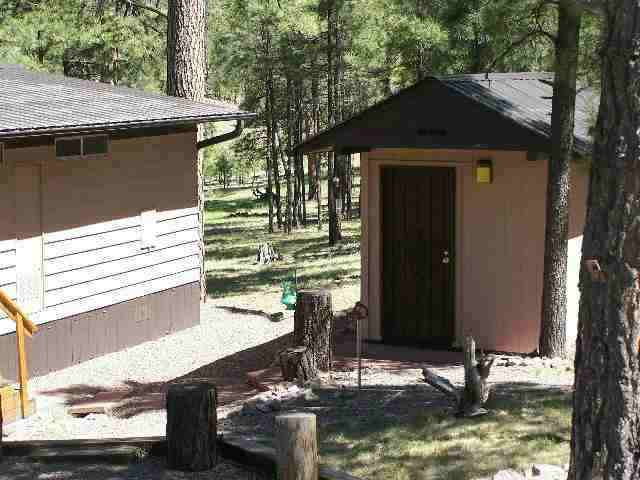 13 N2148 Alpine, AZ 85920 - Photo 4 of 5