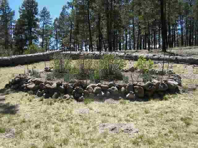 13 N2148 Alpine, AZ 85920 - Photo 5 of 5