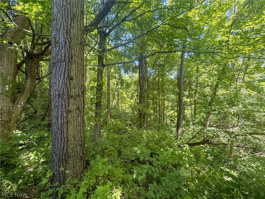 Keffer Road Stockport, OH 43787 - Photo 2 of 25