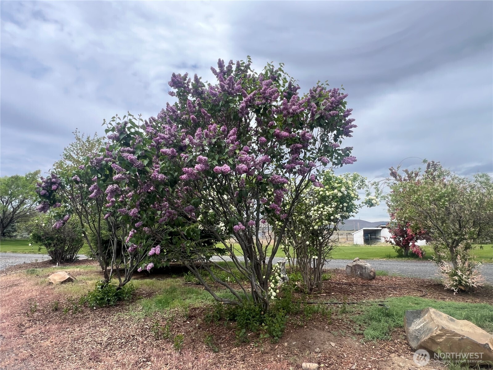 11827 Rd B.5 Northwest Ephrata, WA 98823 - Photo 14 of 40 Gallery Image 14