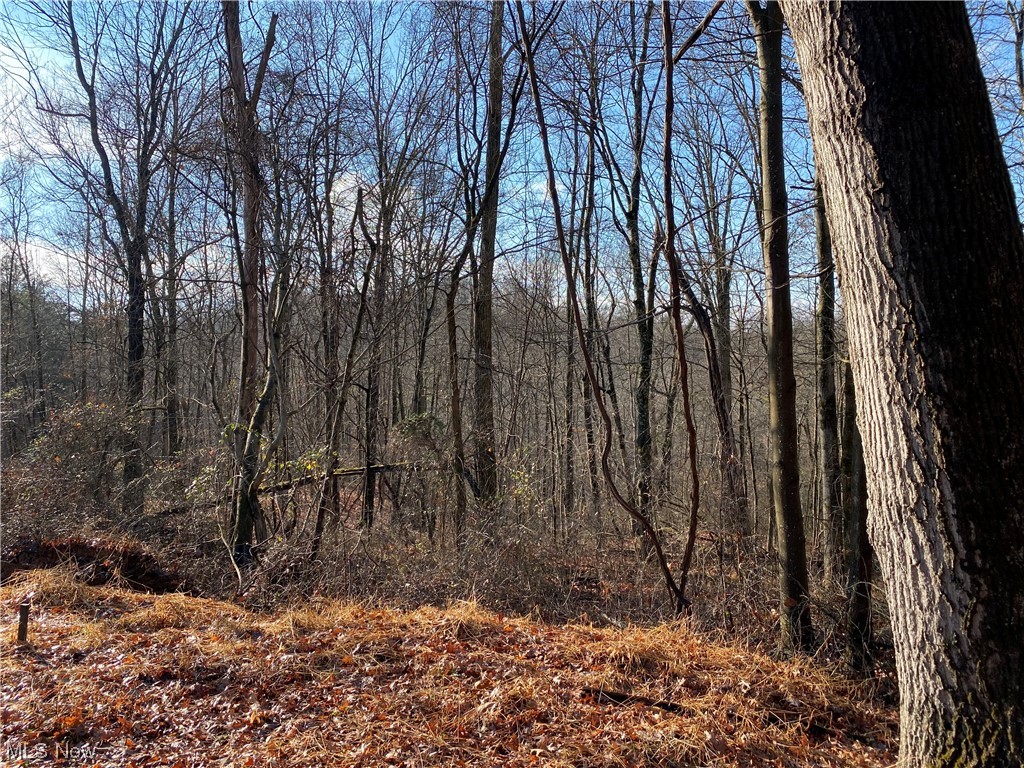 0 Shay Ridge Road New Matamoras, OH 45767 - Photo 24 of 29 View of mother earth's splendor