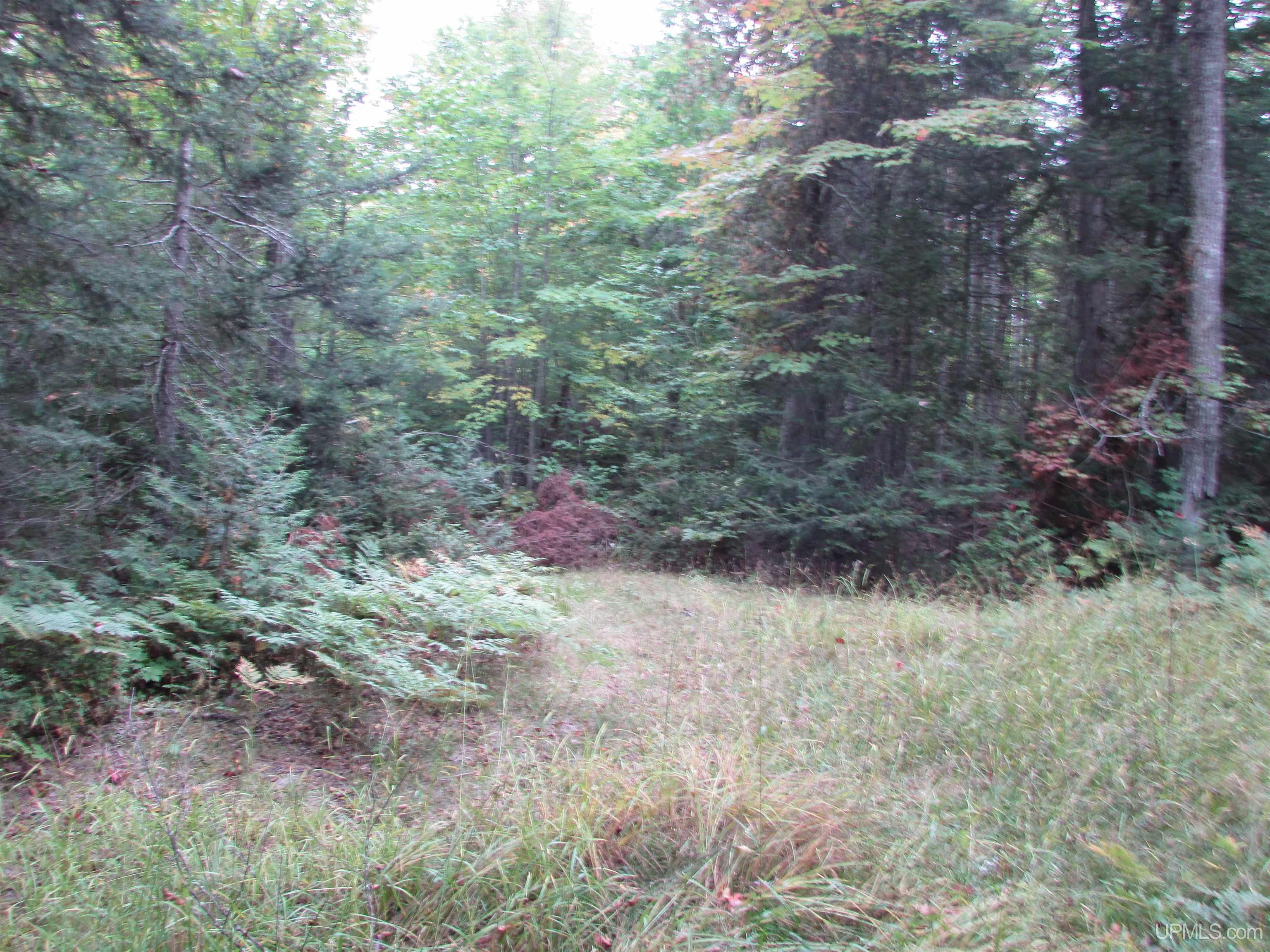 19337 Clear Lake Road Michigamme, MI 49861 - Photo 40 of 50 Gallery Image 40