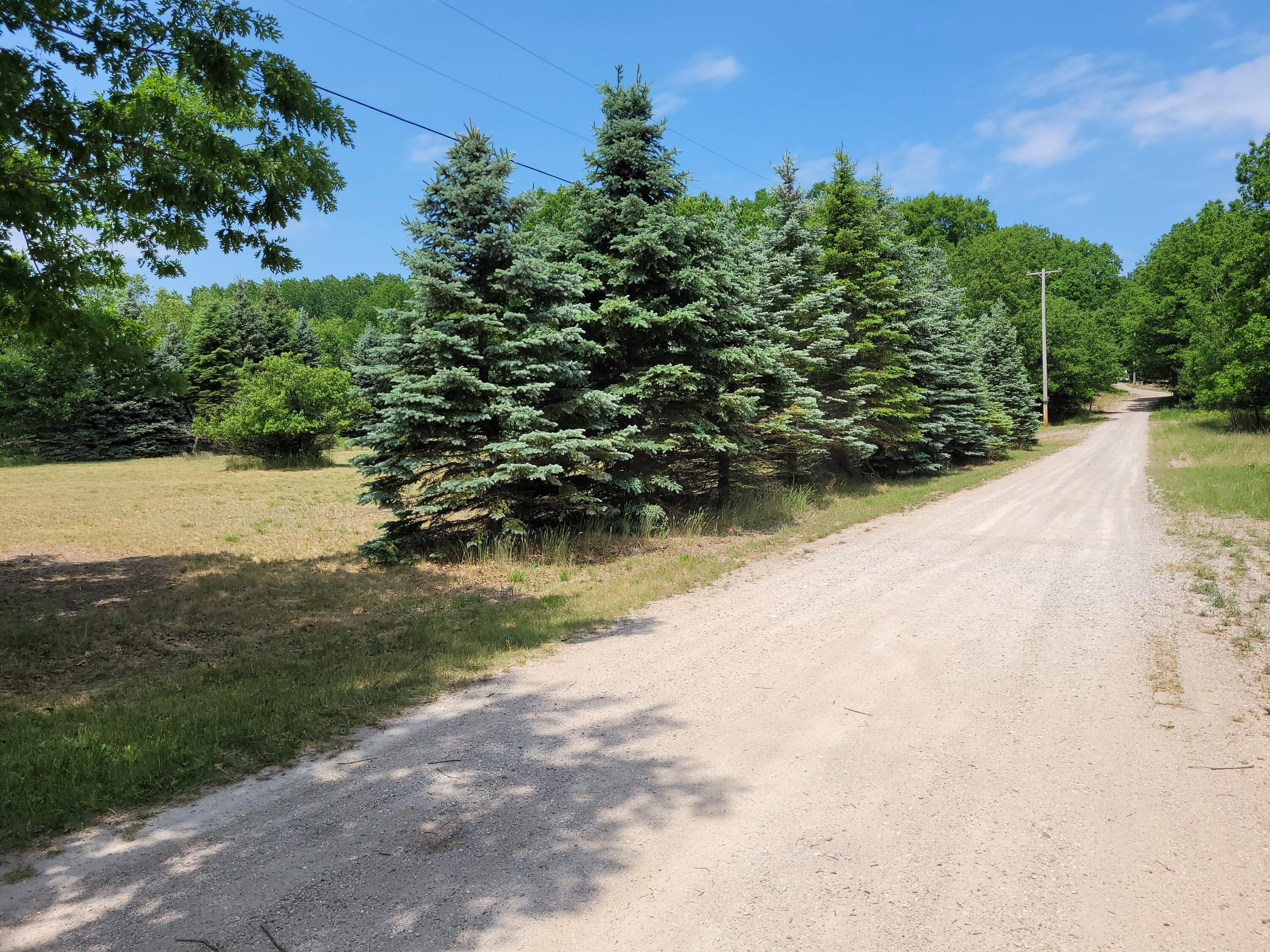 5822 East Numbers Road Cheboygan, MI 49721 - Photo 51 of 52 Gallery Image 51