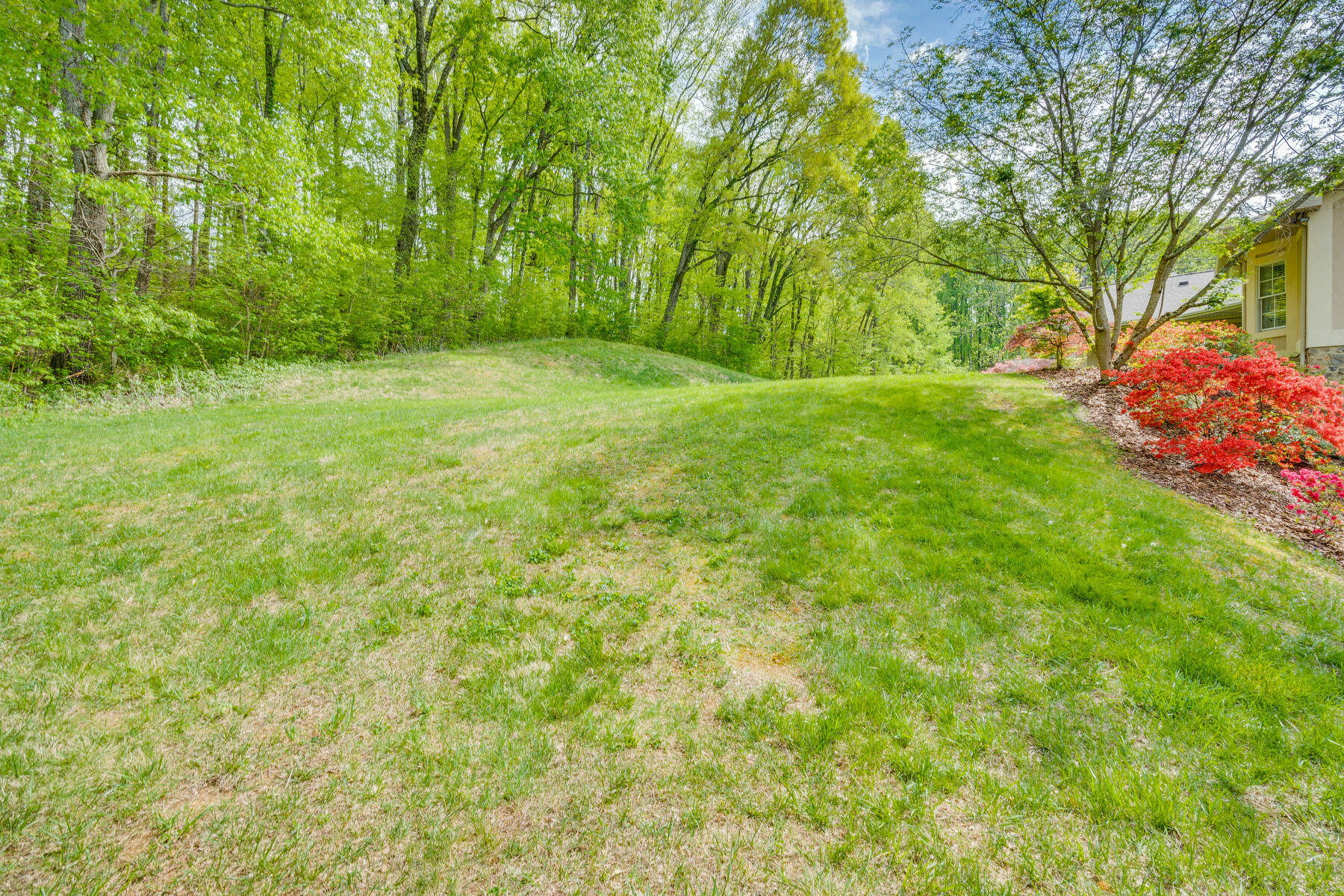 231 Hales Road Jonesborough, TN 37659 - Photo 46 of 71 046