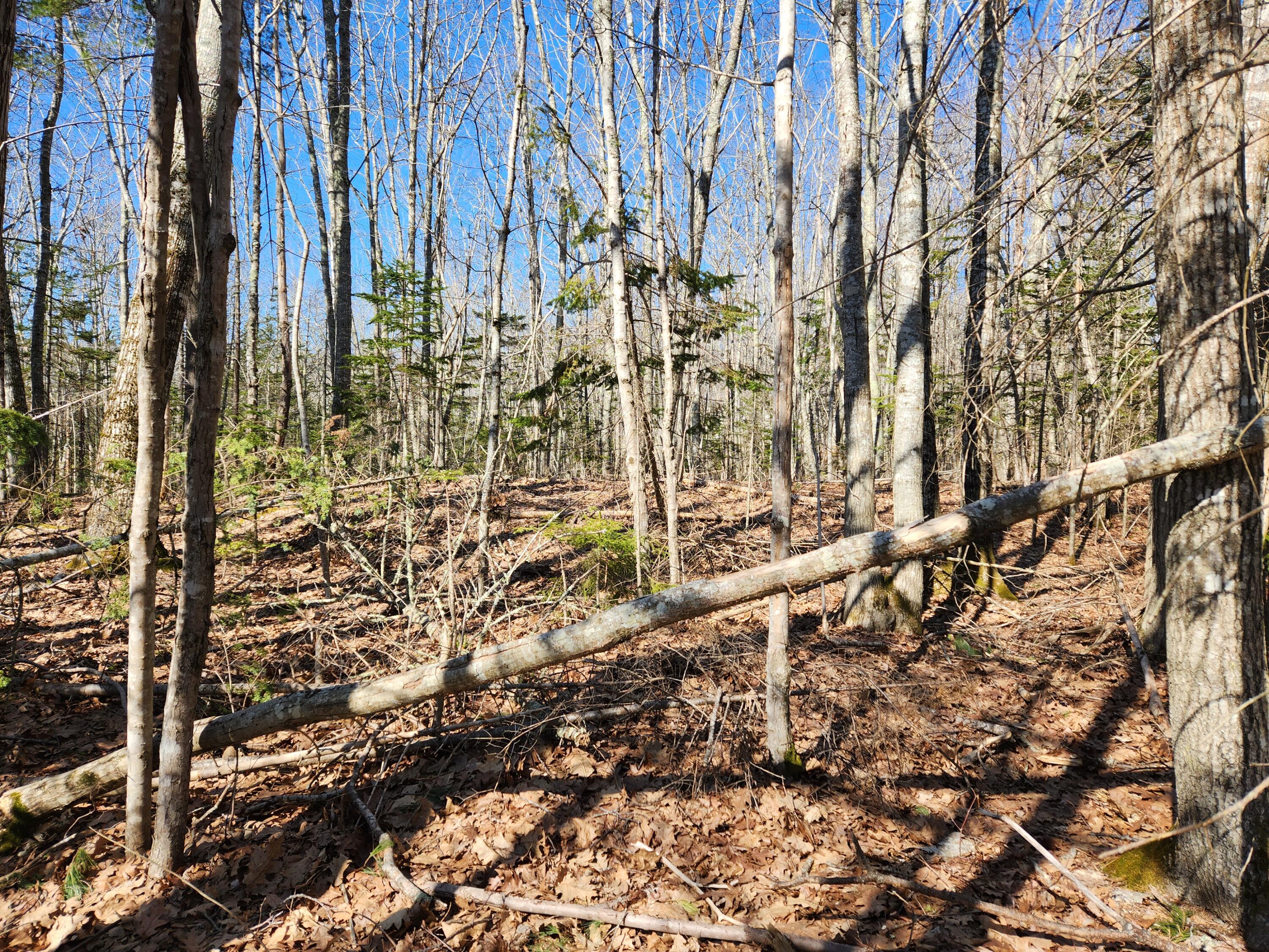16 Roxmont Road Rockport, ME 04856 - Photo 6 of 6 20230408_094725