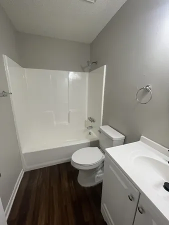 a bathroom with a sink and a toilet
