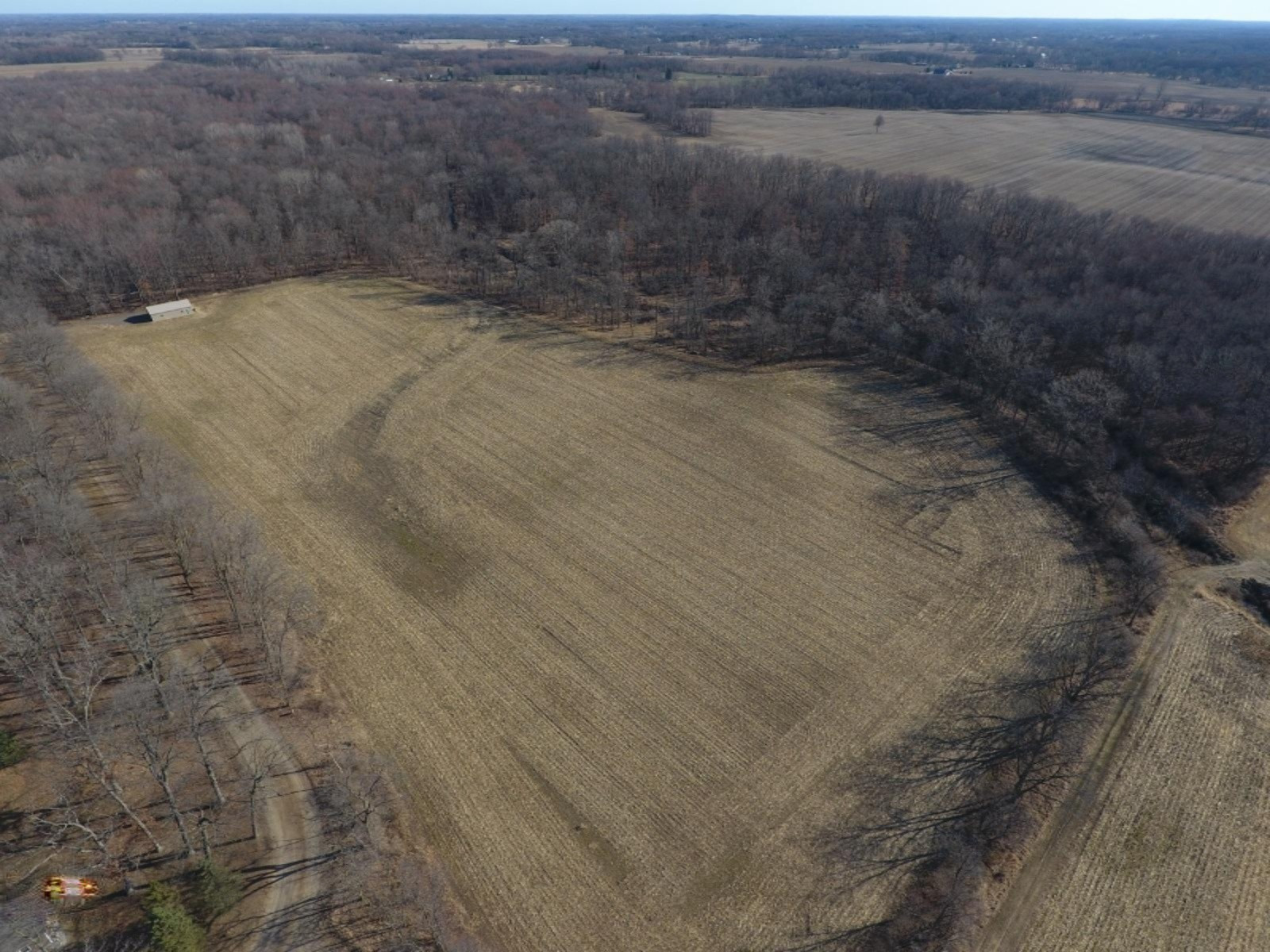 17117 Kane Road South Stockbridge, MI 49285 - Photo 12 of 12 DJI_0011