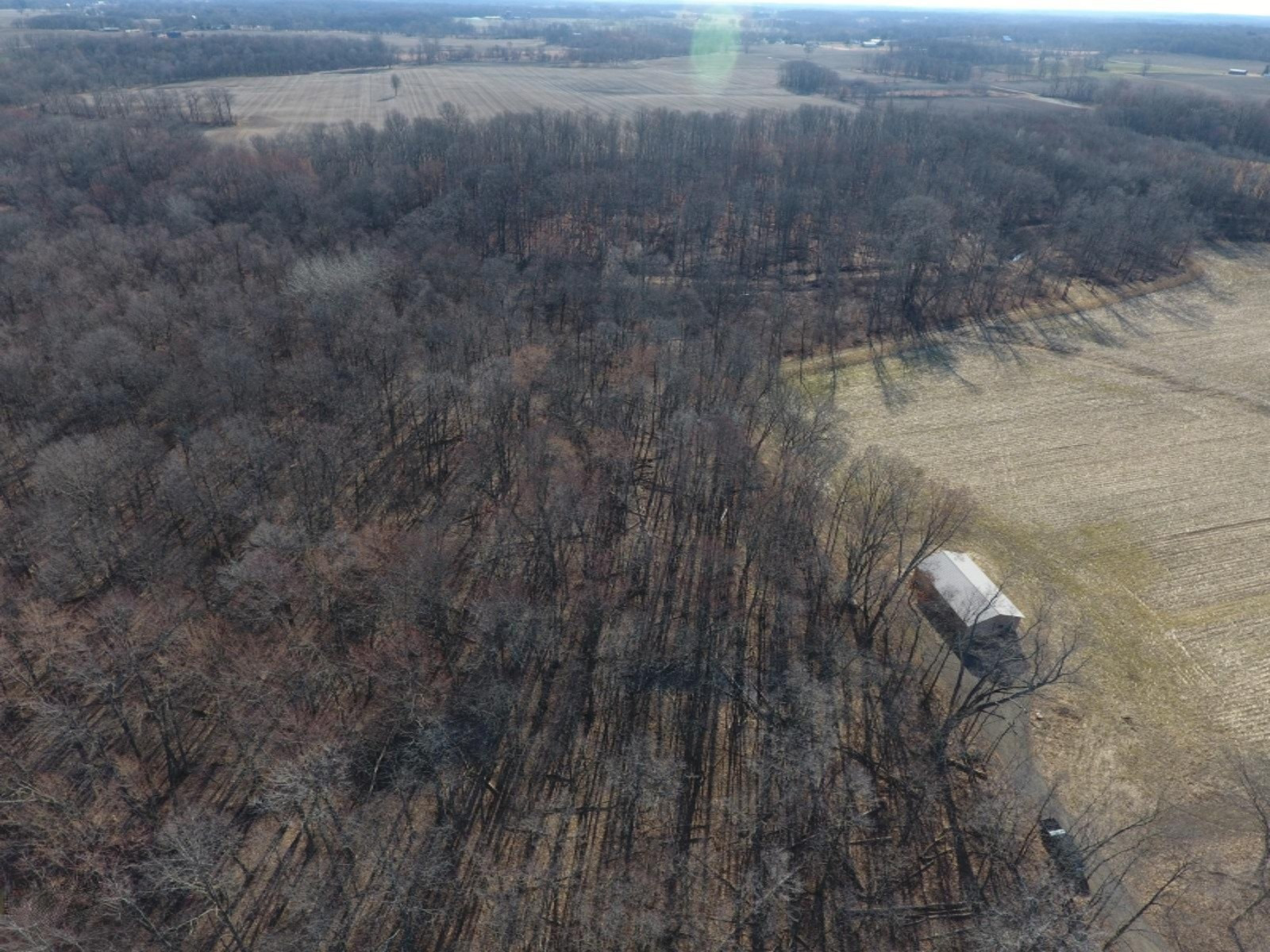 17117 Kane Road South Stockbridge, MI 49285 - Photo 5 of 12 DJI_0004