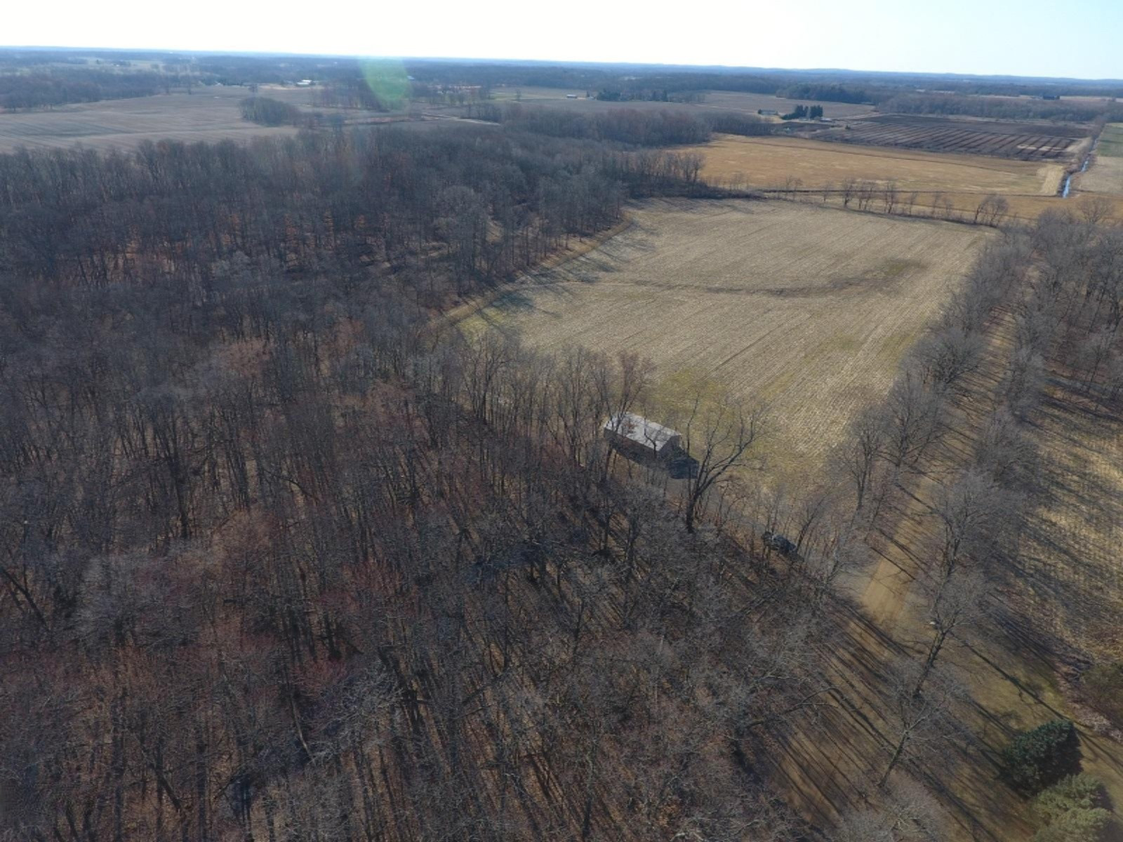 17117 Kane Road South Stockbridge, MI 49285 - Photo 6 of 12 DJI_0005