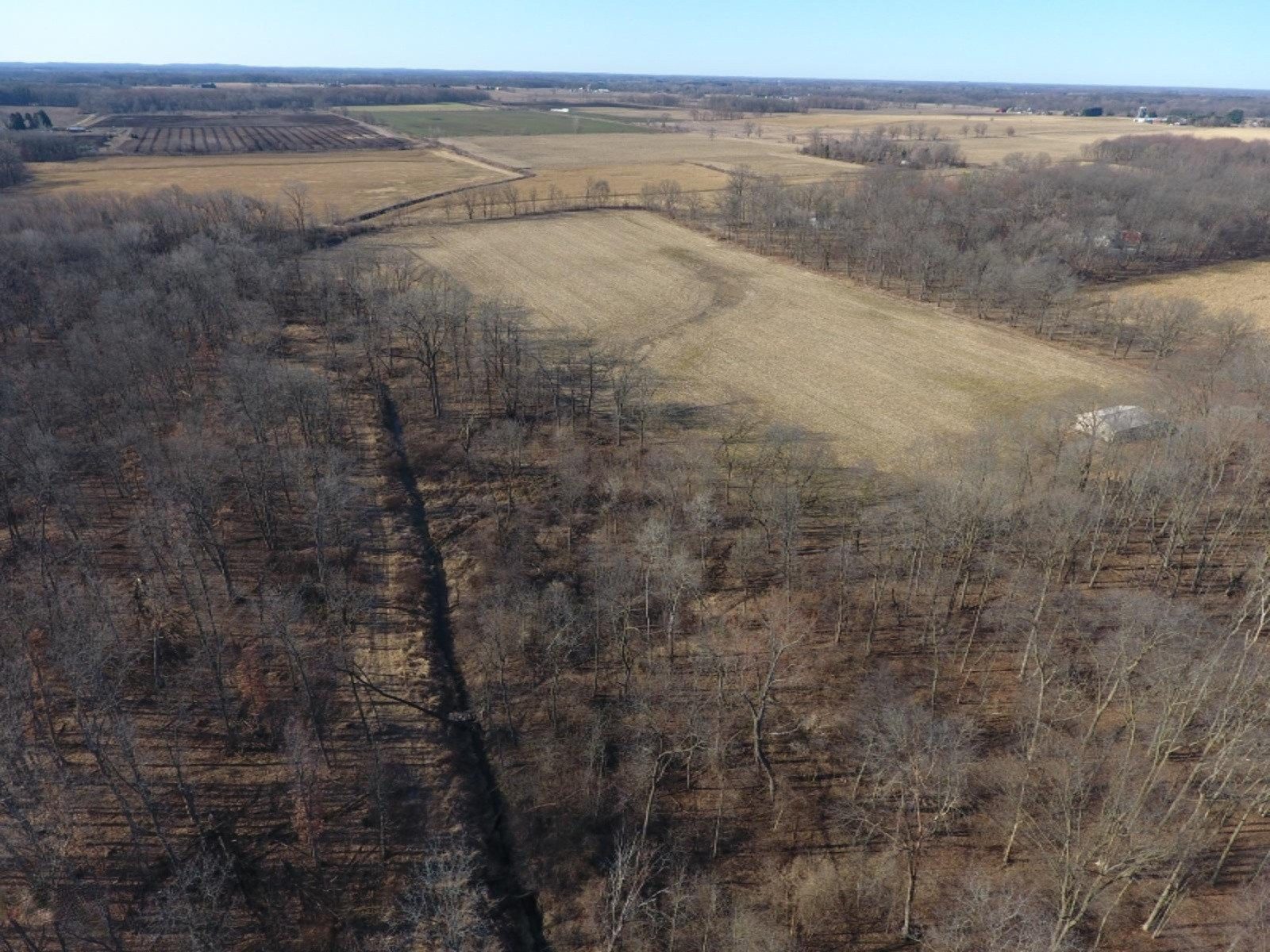 17117 Kane Road South Stockbridge, MI 49285 - Photo 7 of 12 DJI_0006