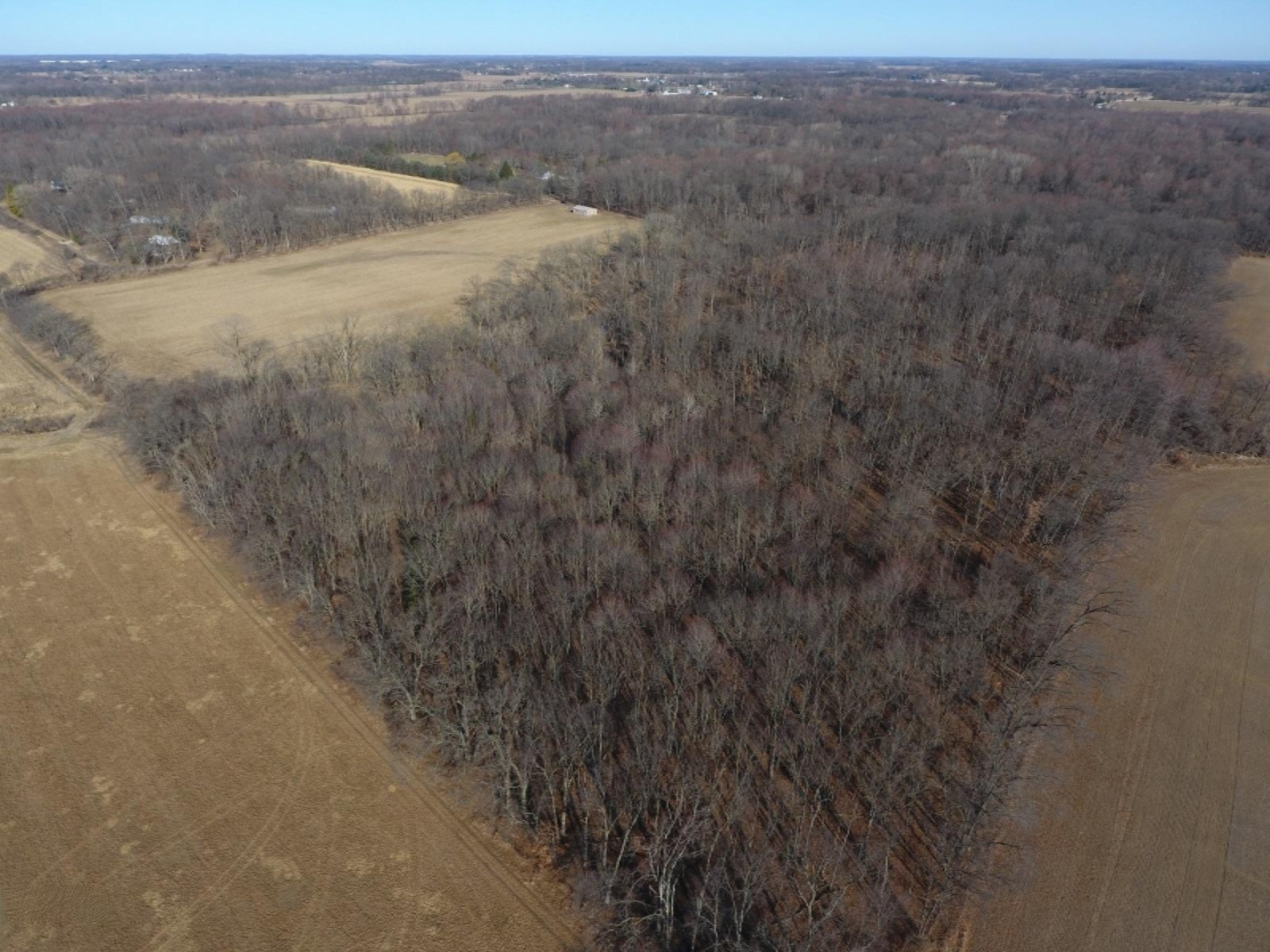 17117 Kane Road South Stockbridge, MI 49285 - Photo 9 of 12 DJI_0008