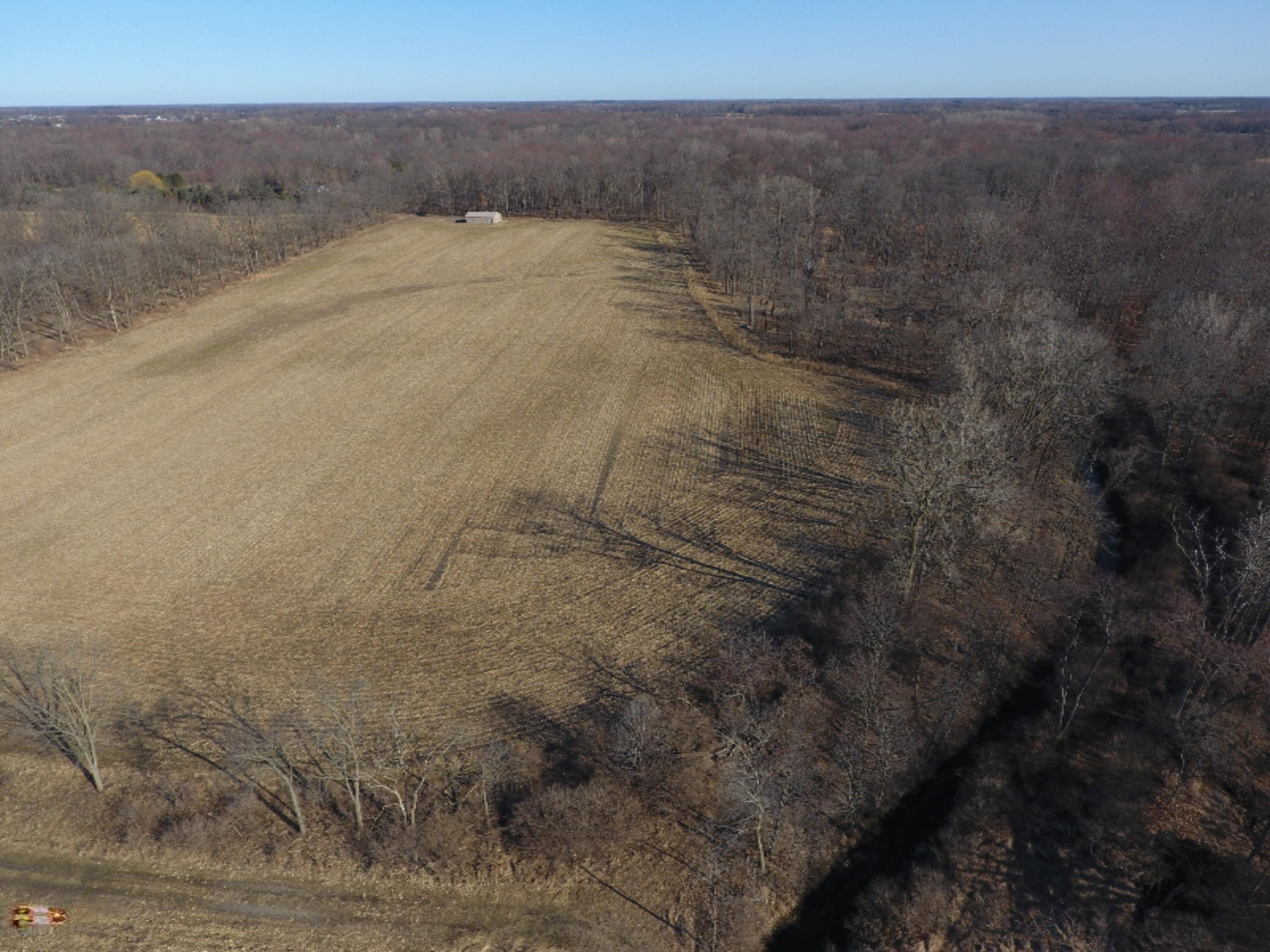 17117 Kane Road South Stockbridge, MI 49285 - Photo 10 of 12 DJI_0009