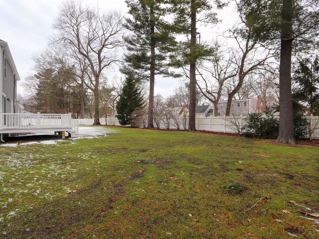 19 Crest Road Natick, MA 01760 - Photo 40 of 40 a view of yard with tree