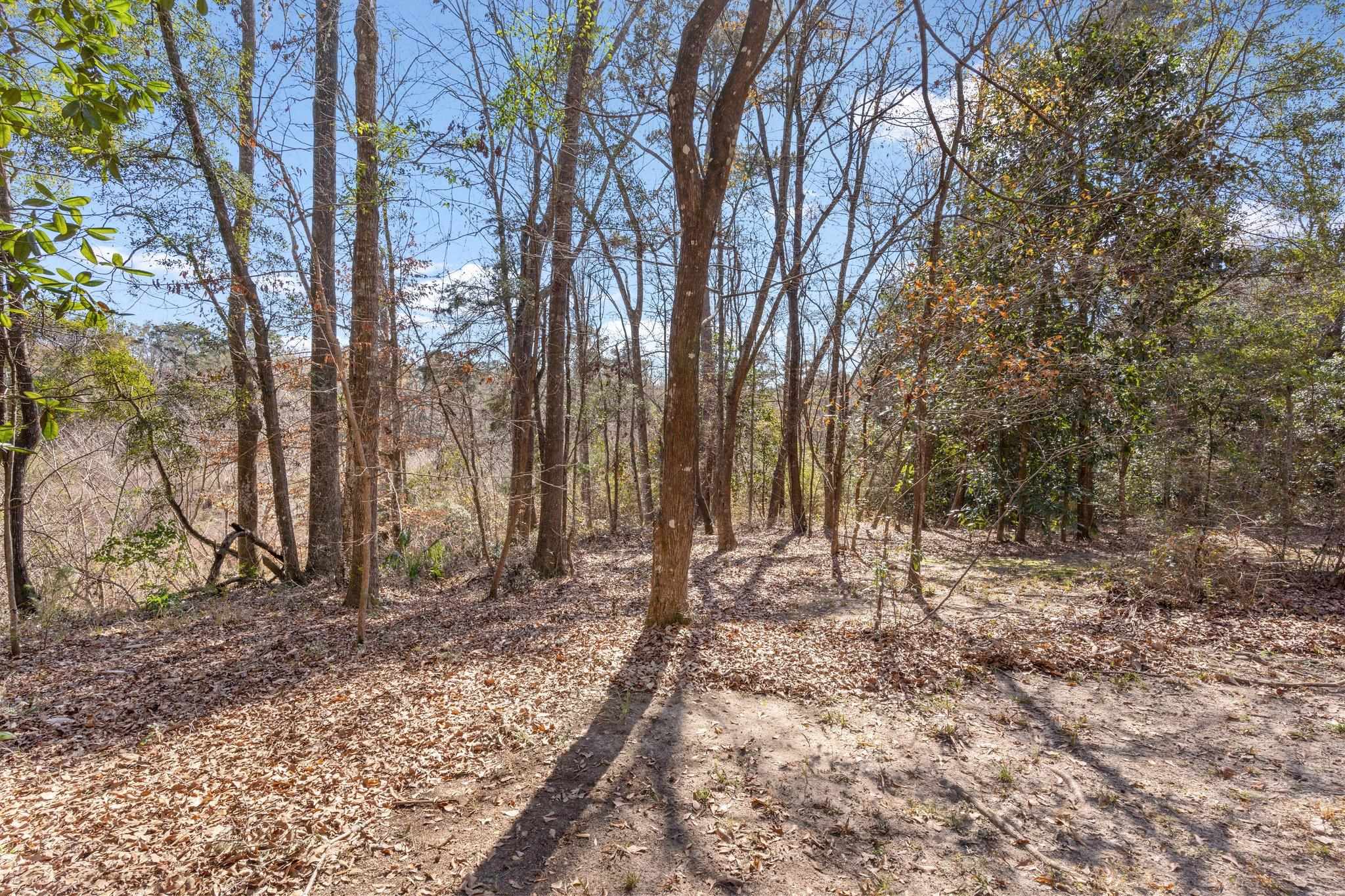 542 Spring Meadows Road Quincy, FL 32351 - Photo 8 of 42 Gallery Image 8
