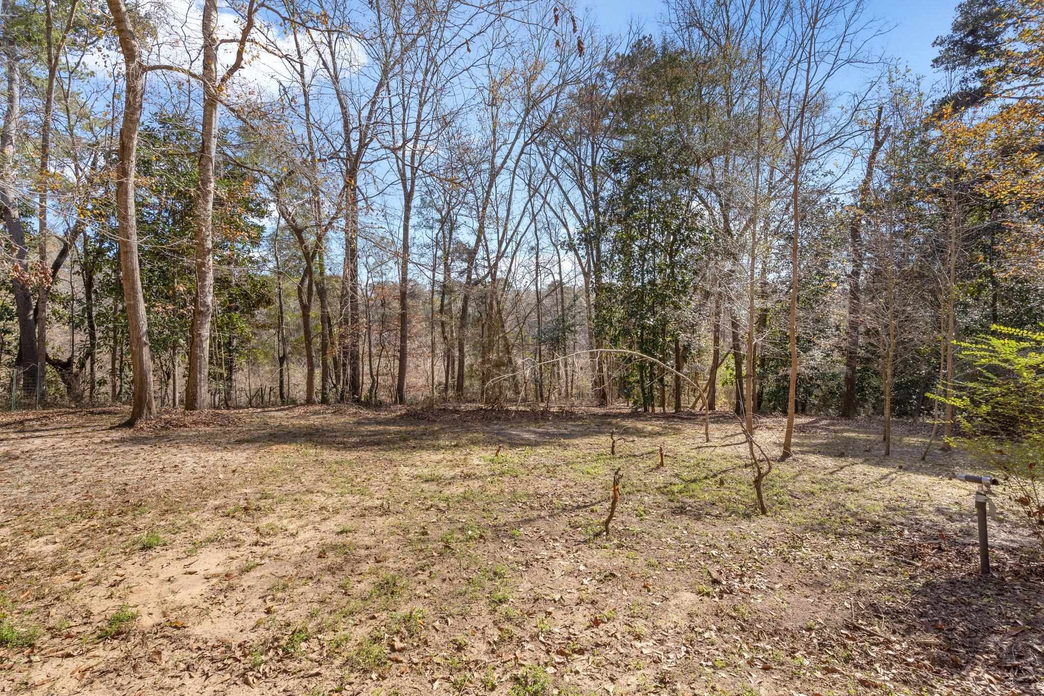 542 Spring Meadows Road Quincy, FL 32351 - Photo 9 of 42 Gallery Image 9