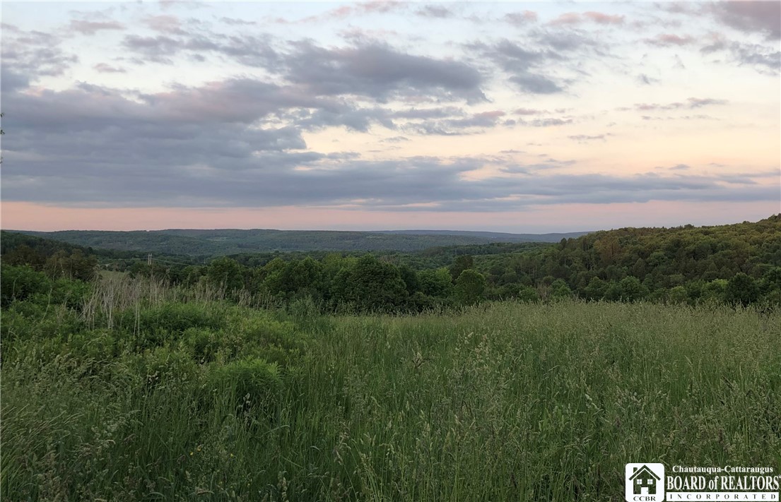 8905 Tug Hill Road Machias, NY 14101 - Photo 45 of 50