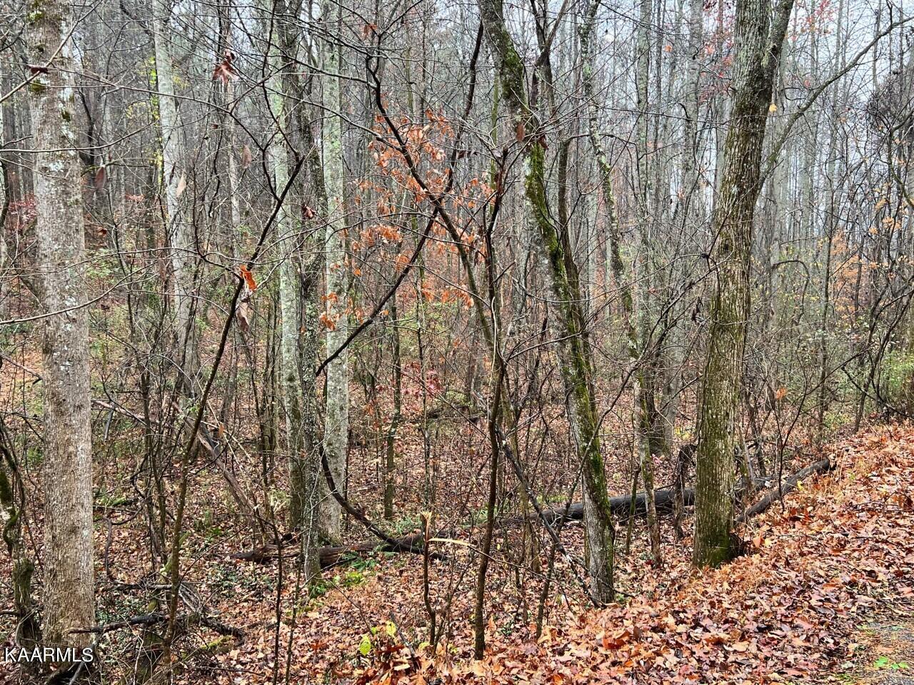 Lot 1 Butler Road Decatur, TN 37322 - Photo 7 of 10 BR6