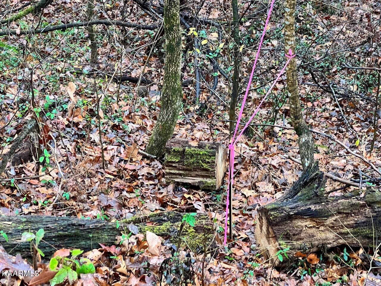 Lot 1 Butler Road Decatur, TN 37322 - Photo 8 of 10 BR7