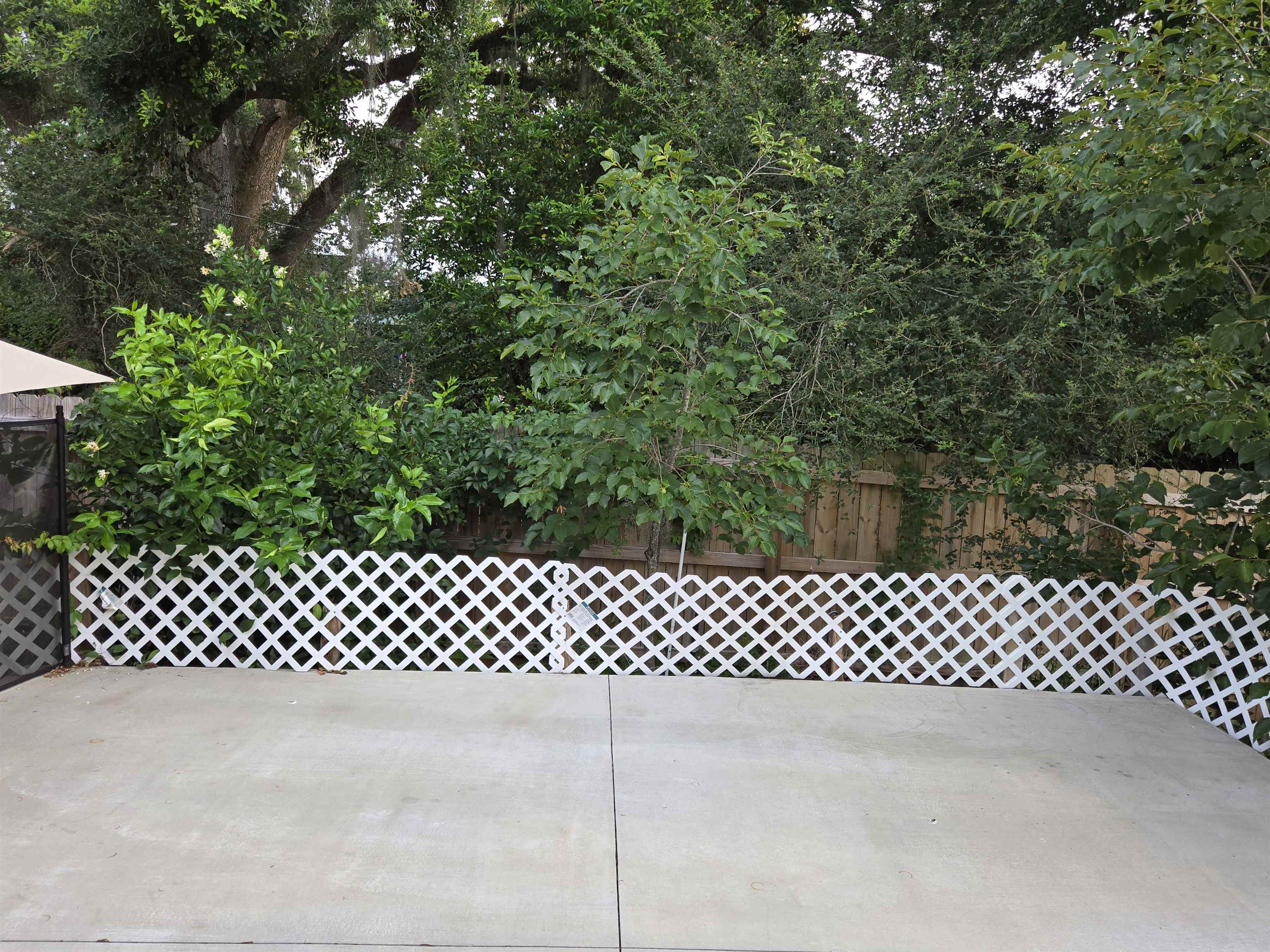 5624 Jacksons Gap Road Tallahassee, FL 32317 - Photo 8 of 41 Gallery Image 8