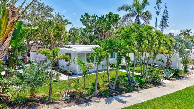 a view of a backyard with plants