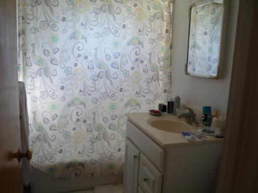 711 Long Road Glenview, IL 60025 - Photo 6 of 9 a bathroom with a sink and a mirror