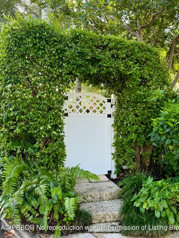 a view of plant in middle of the green view