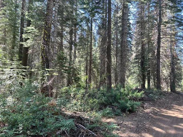 a view of outdoor space and green space
