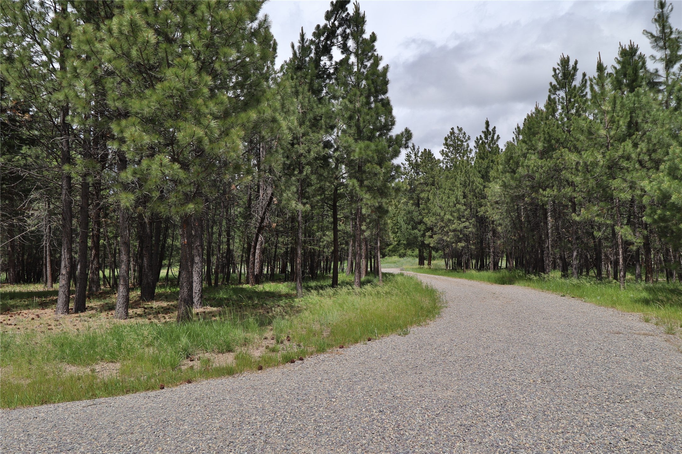 4587 Patterson Loop Lincoln, MT 59639 - Photo 9 of 21 Gallery Image 9