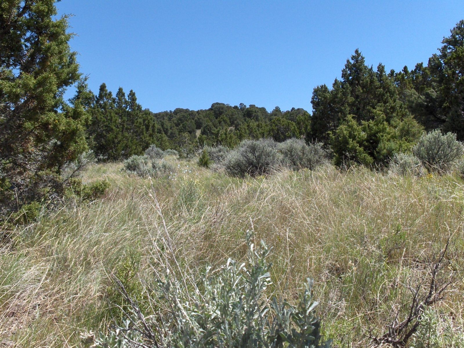 5 Twp 38n Rge 67e Montello, NV 89830 - Photo 2 of 4