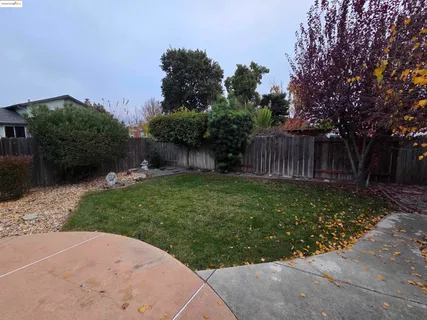 a view of outdoor space and yard