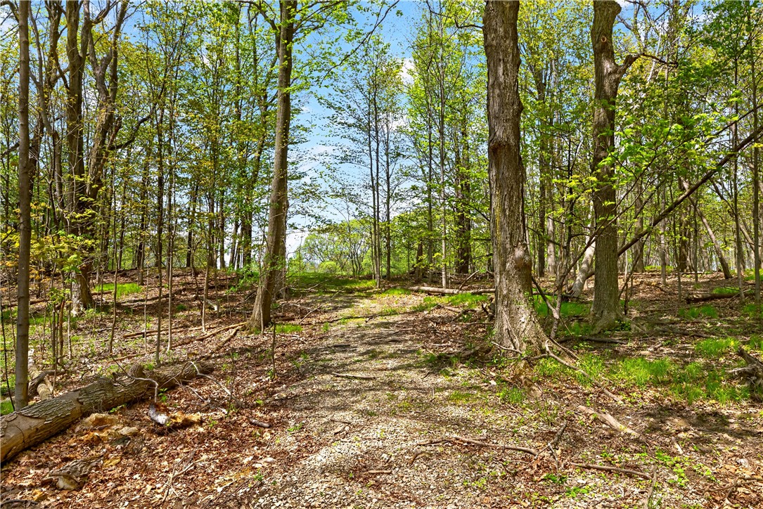 1890 Warren Road Middlesex, NY 14507 - Photo 33 of 39