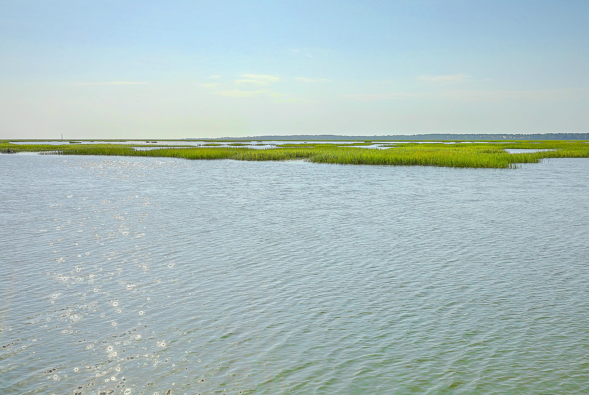 1171 Fort Lamar Road Charleston, SC 29412 - Photo 6 of 26 1171 Fort Lamar Road
