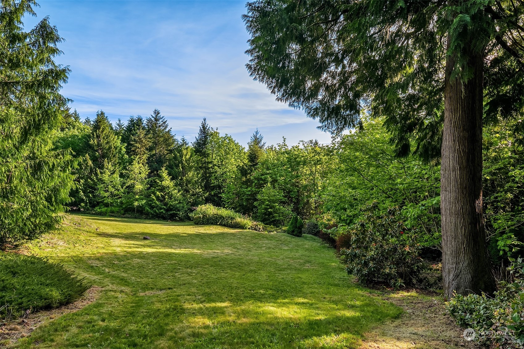 17524 Southeast 102nd Street Renton, WA 98059 - Photo 30 of 38 a view of a trees with a yard